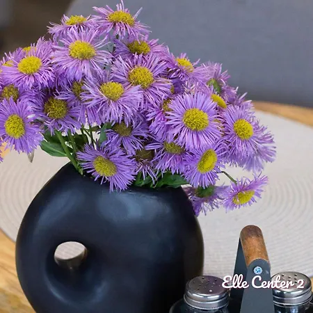 Elle Center By Rv - Center * Варна