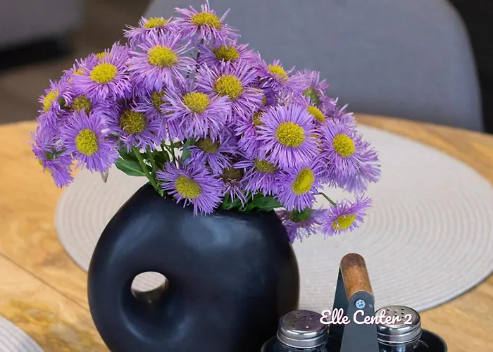 Elle Center By Rv - Center * Warna